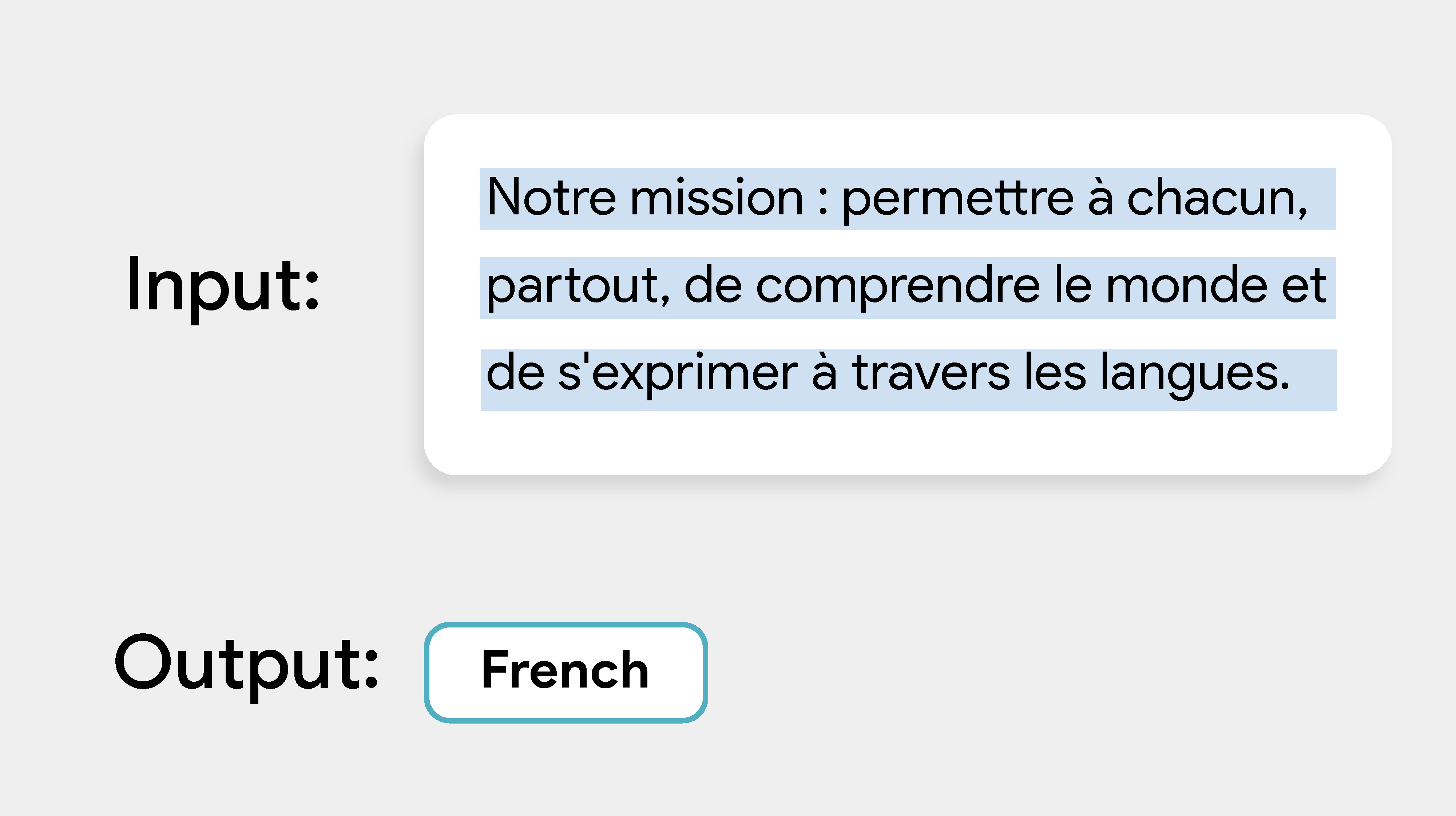 Example UI that shows an input sentence in French that is correctly
identified as French in the output.